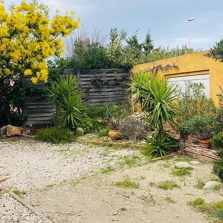 Magnifique Maison Avec Piscine Privee A 300 M D'une Tres Jolie De Sable Le Barcarès